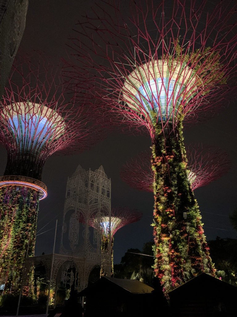 Gardens by the Bay nocą - co zobaczyć w Singapurze