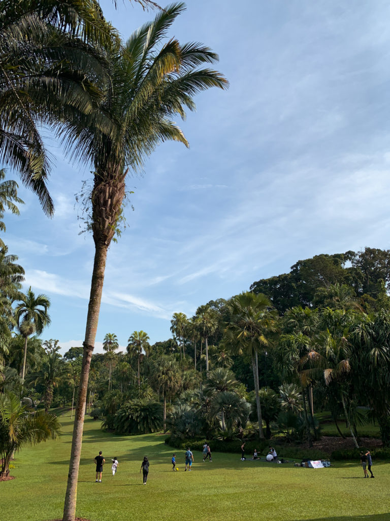 Botanic Gardens - co zobaczyć w Singapurze